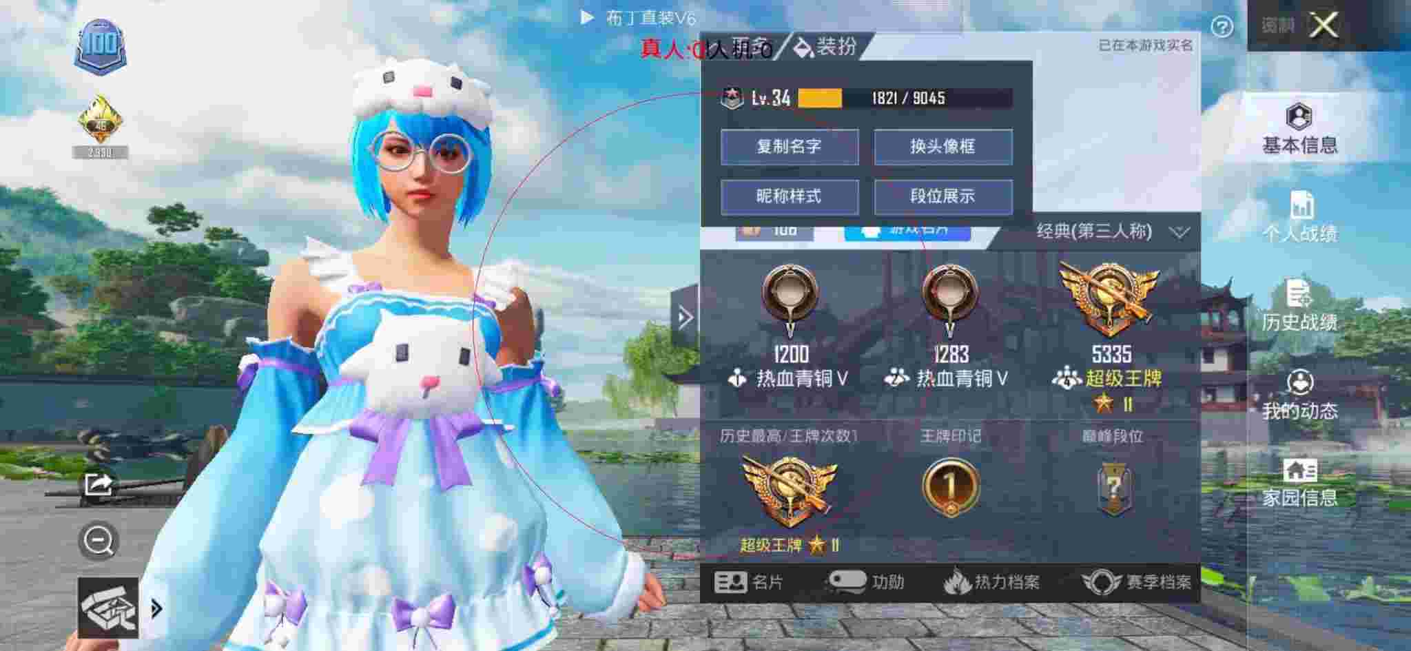 和平精英布丁直装透视 - 和平精英狗服装辅助预览图
